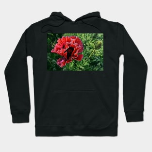 Exotic Oriental Poppy Hoodie